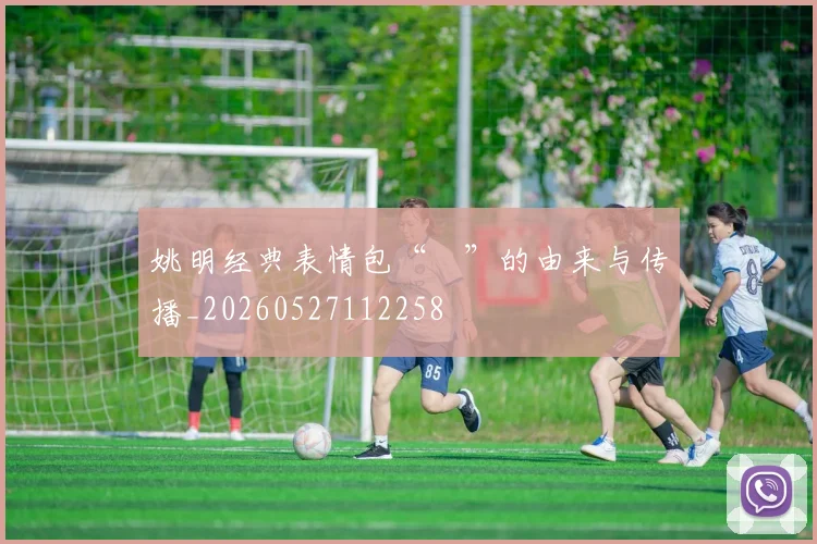 姚明经典表情包“囧”的由来与传播_20260527112258